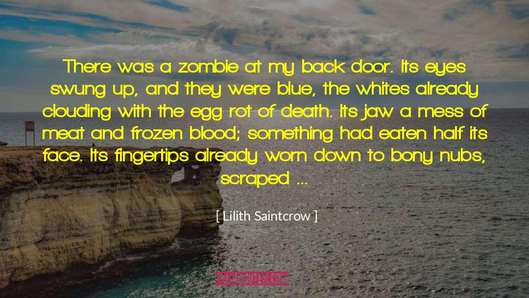 Door Of Opportunity quotes by Lilith Saintcrow