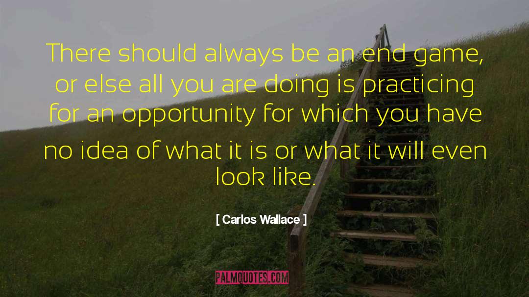 Door Of Opportunity quotes by Carlos Wallace