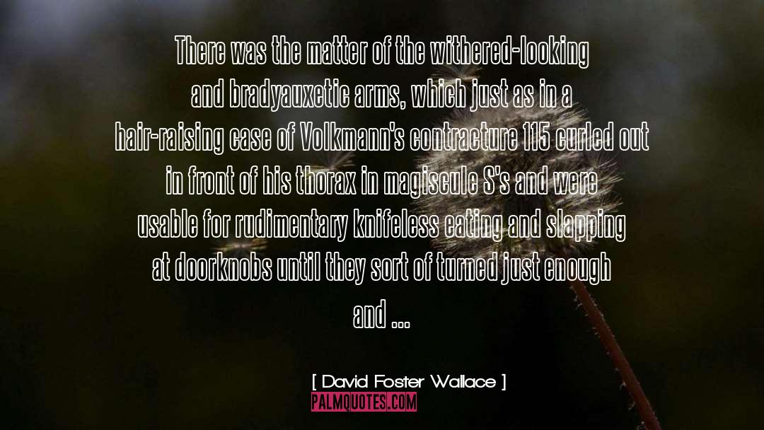 Doorknobs quotes by David Foster Wallace