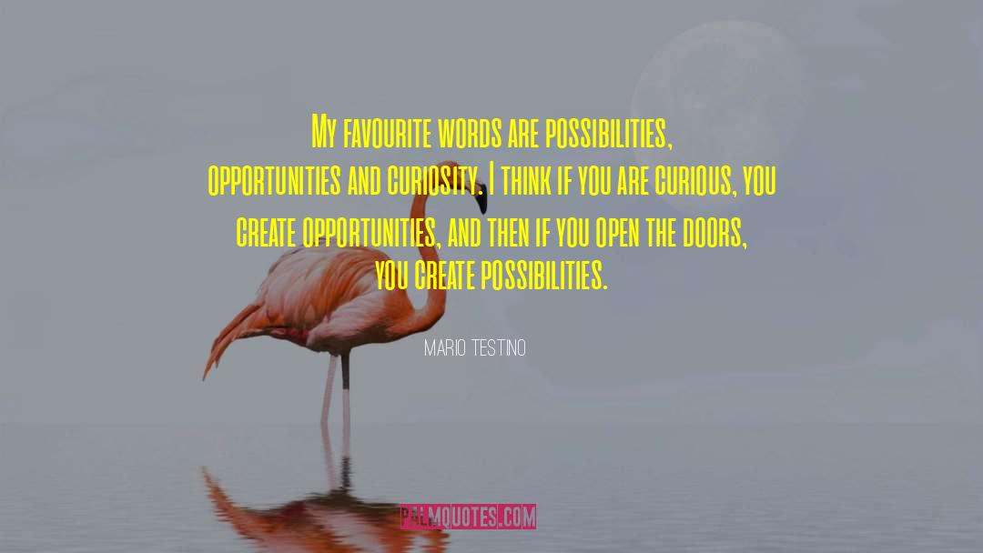 Doors Opportunity Quote quotes by Mario Testino