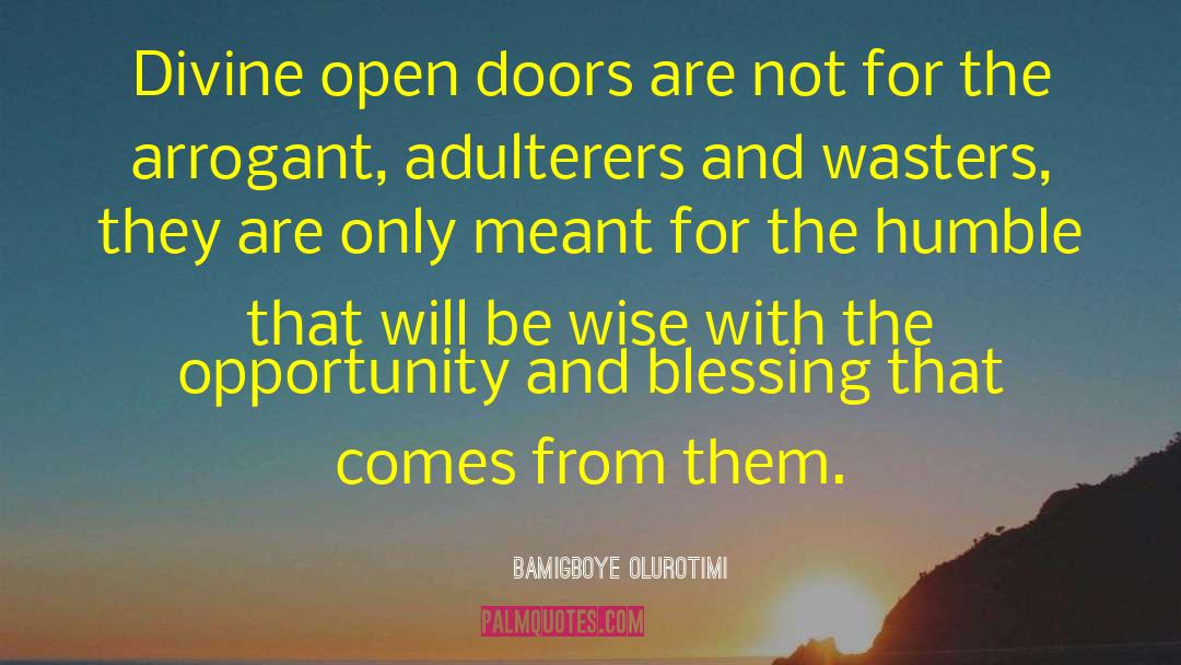 Doors Opportunity Quote quotes by Bamigboye Olurotimi