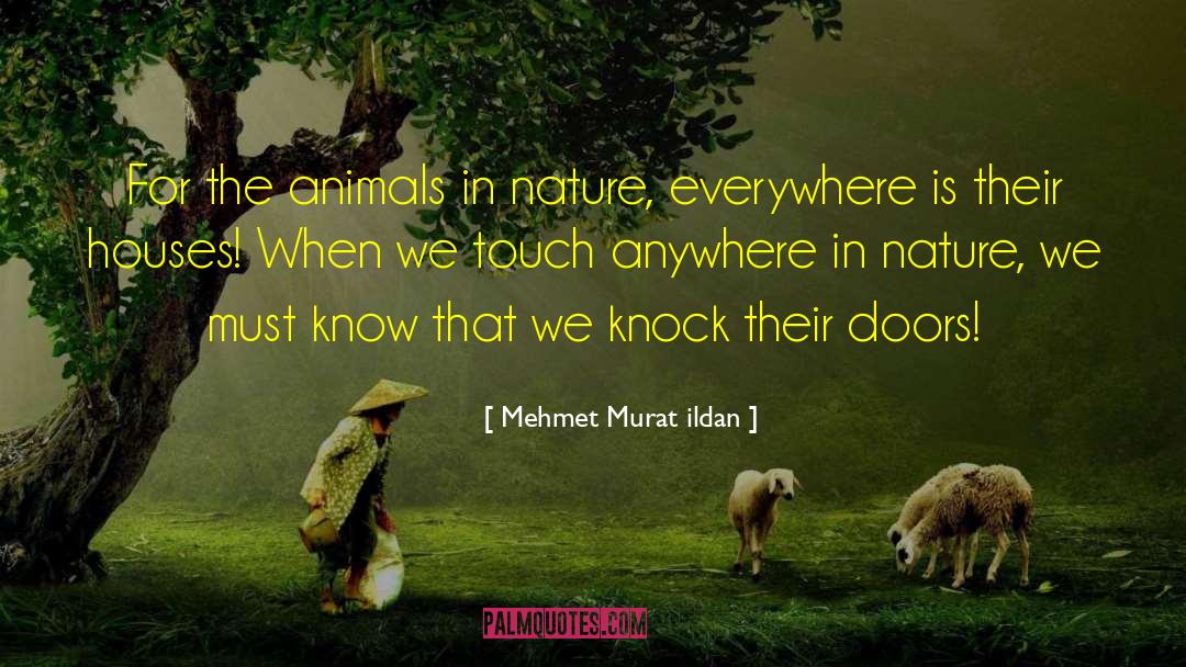 Doorsteps Houses quotes by Mehmet Murat Ildan