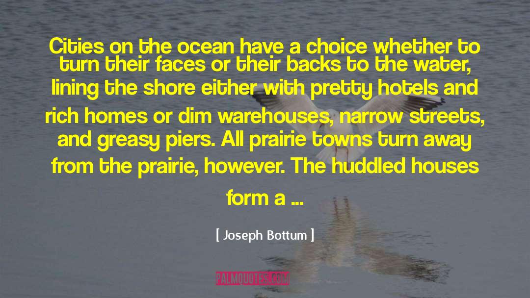 Doorsteps Houses quotes by Joseph Bottum