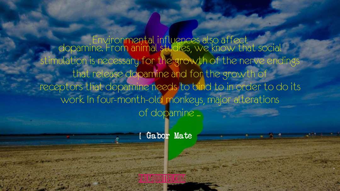 Dopamine quotes by Gabor Mate
