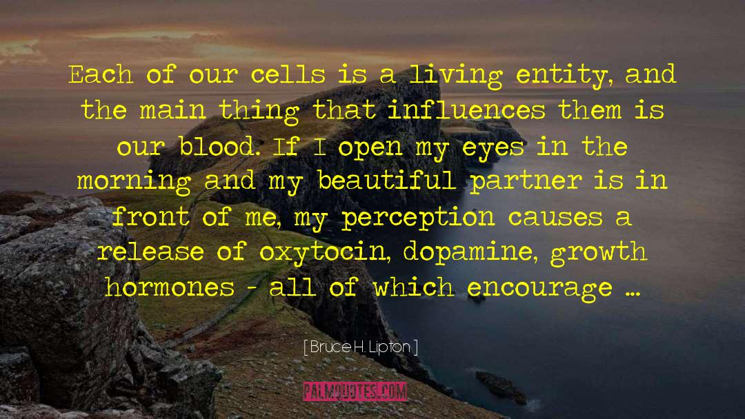 Dopamine quotes by Bruce H. Lipton