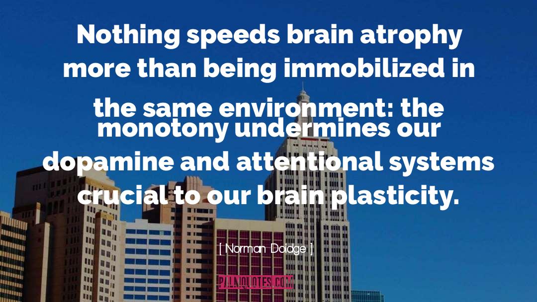 Dopamine quotes by Norman Doidge