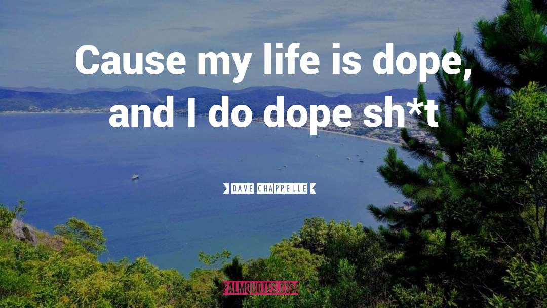 Dope quotes by Dave Chappelle