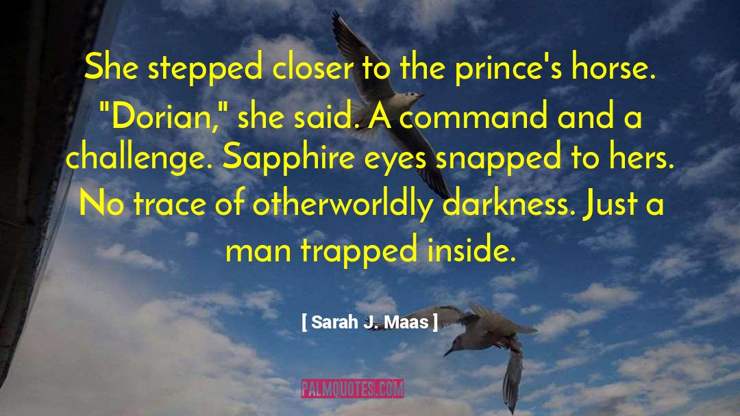 Dorian Christensen quotes by Sarah J. Maas