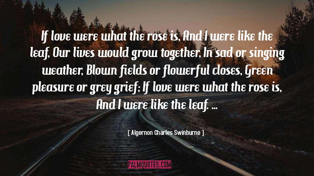 Dorian Grey quotes by Algernon Charles Swinburne