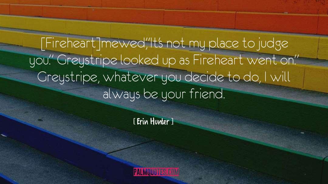 Dorky Friendship quotes by Erin Hunter