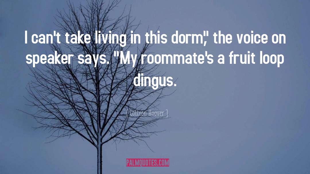 Dorm quotes by Colleen Hoover