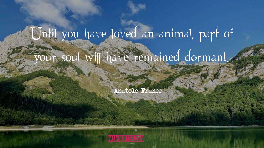 Dormant quotes by Anatole France