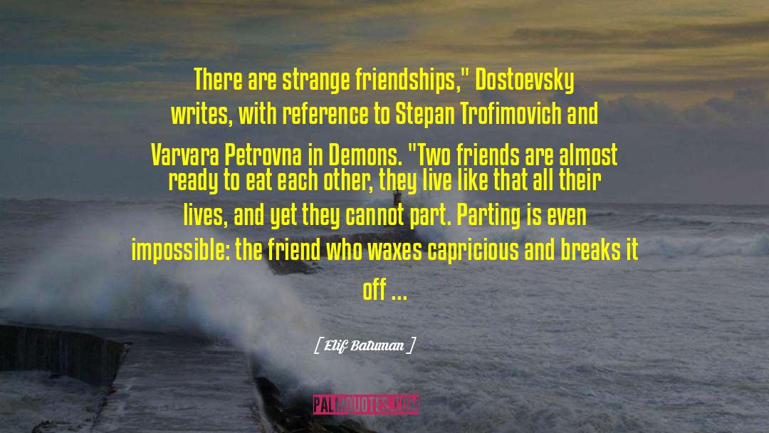 Dostoevsky quotes by Elif Batuman