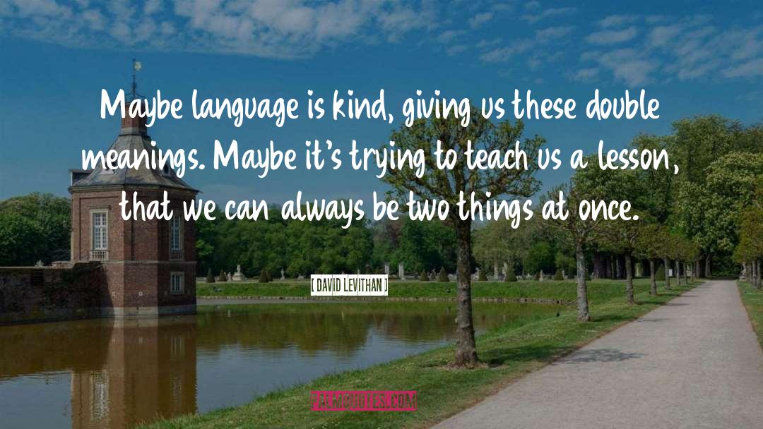 Double Meaning Hindi quotes by David Levithan