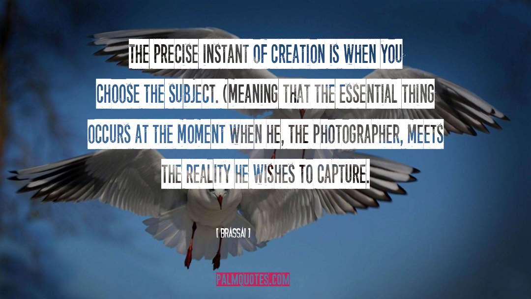 Double Meaning quotes by Brassai