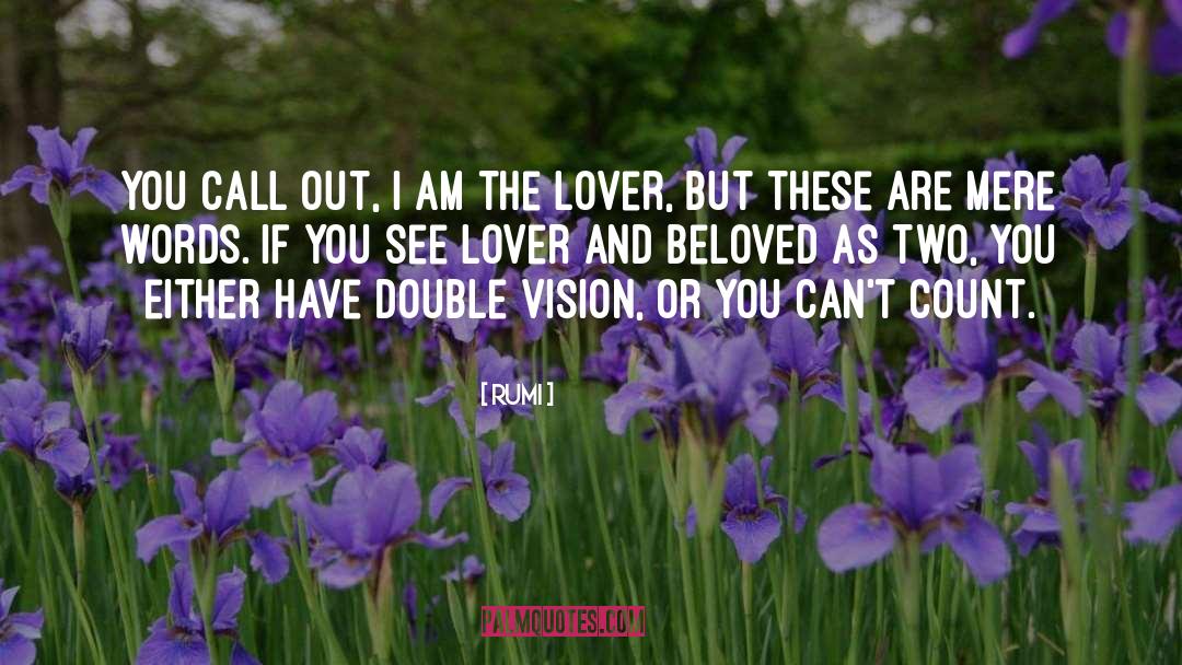 Double Vision quotes by Rumi