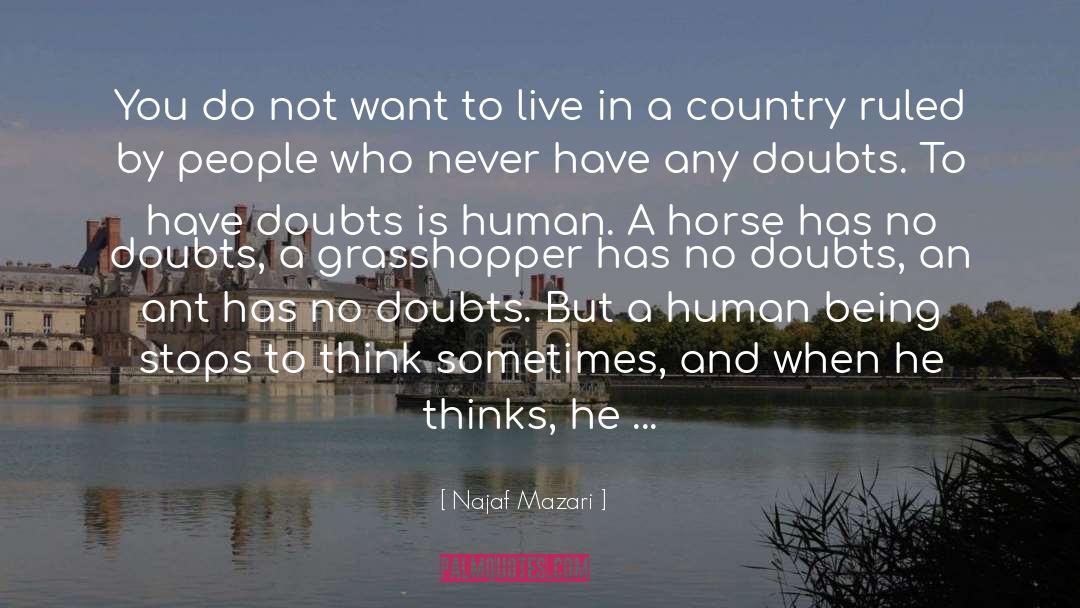 Doubts quotes by Najaf Mazari