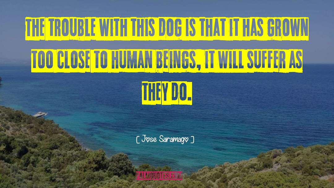 Douchan Dog quotes by Jose Saramago