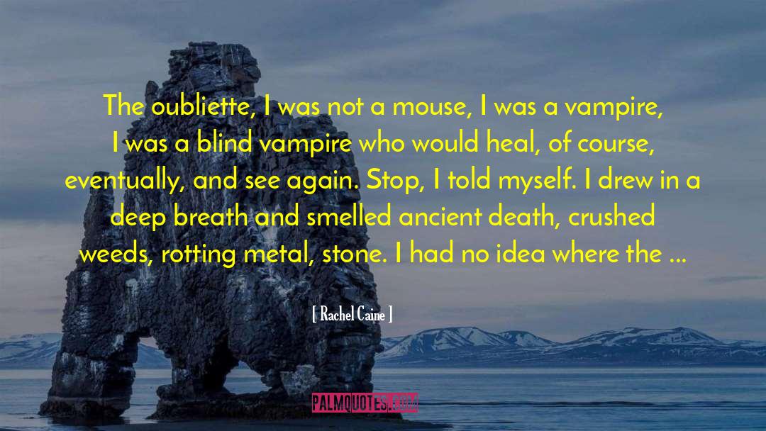 Doudney Metal quotes by Rachel Caine