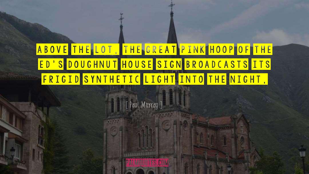 Doughnut quotes by Paul Murray