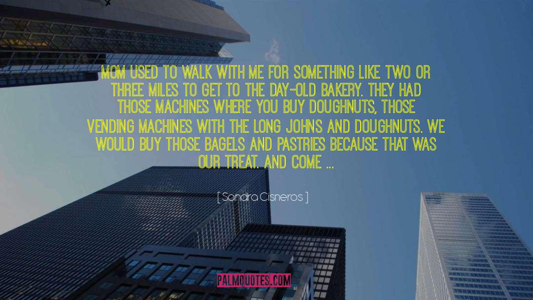 Doughnuts quotes by Sandra Cisneros