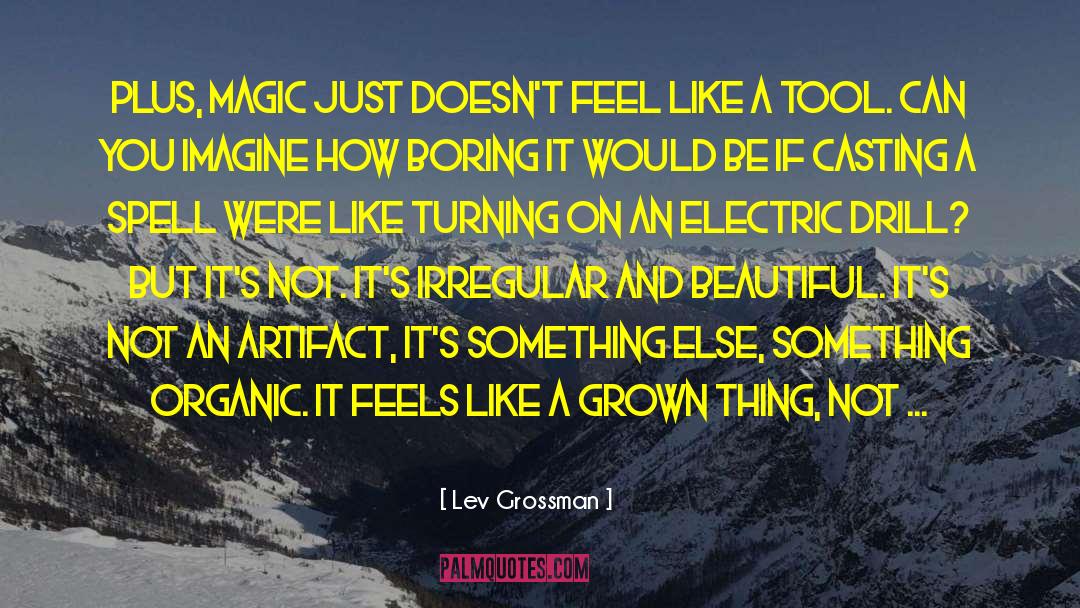 Doumas Electric quotes by Lev Grossman