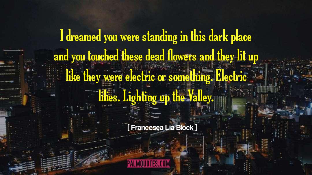 Doumas Electric quotes by Francesca Lia Block