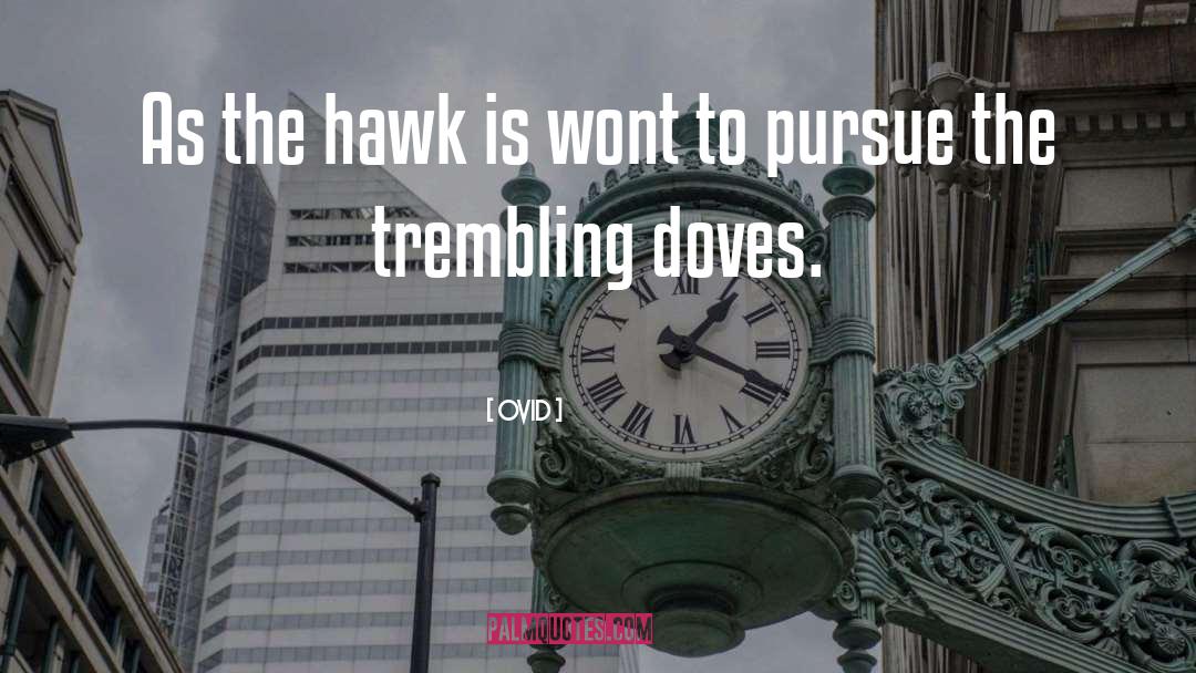 Dove quotes by Ovid