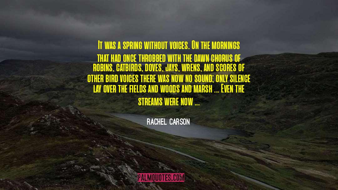 Doves quotes by Rachel Carson