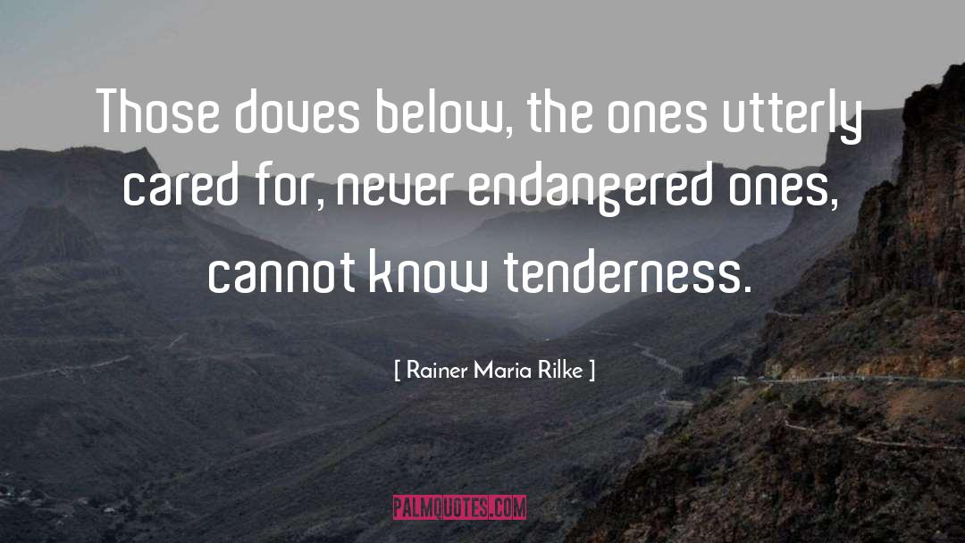 Doves quotes by Rainer Maria Rilke