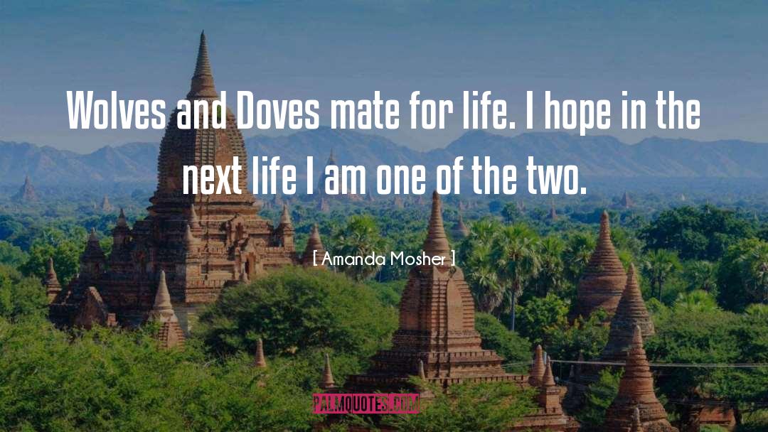 Doves quotes by Amanda Mosher