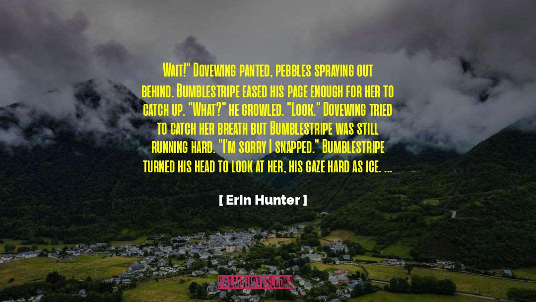 Dovewing quotes by Erin Hunter