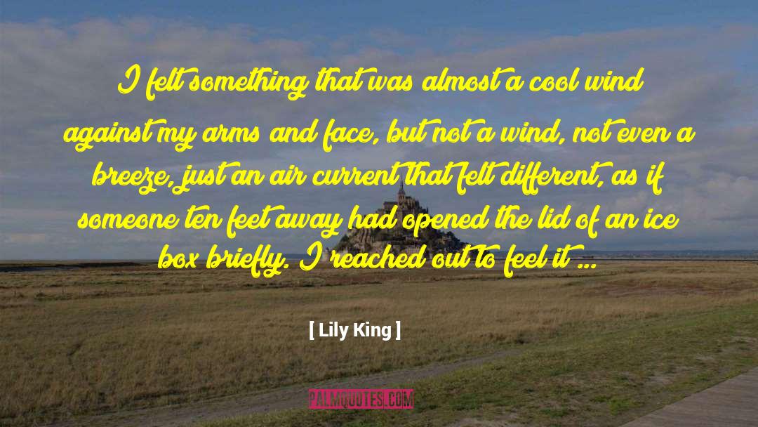 Down But Not Out quotes by Lily King