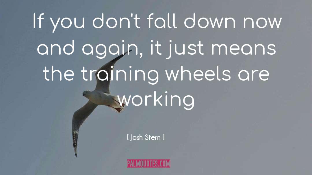 Down Fall quotes by Josh Stern
