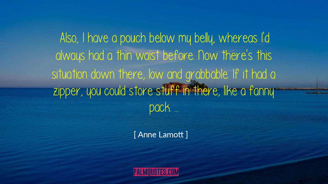 Down Like A quotes by Anne Lamott