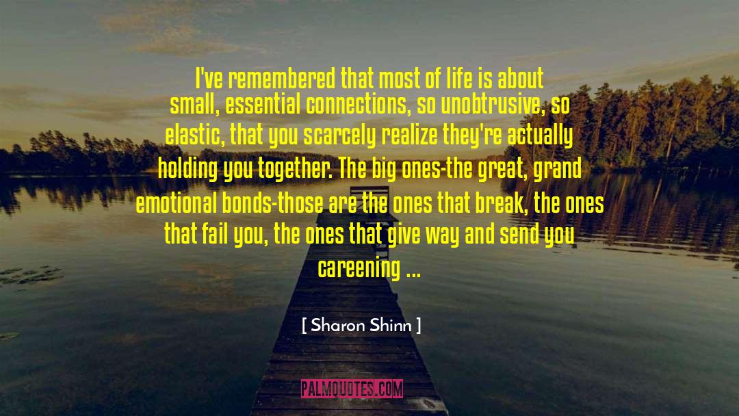 Down Low quotes by Sharon Shinn