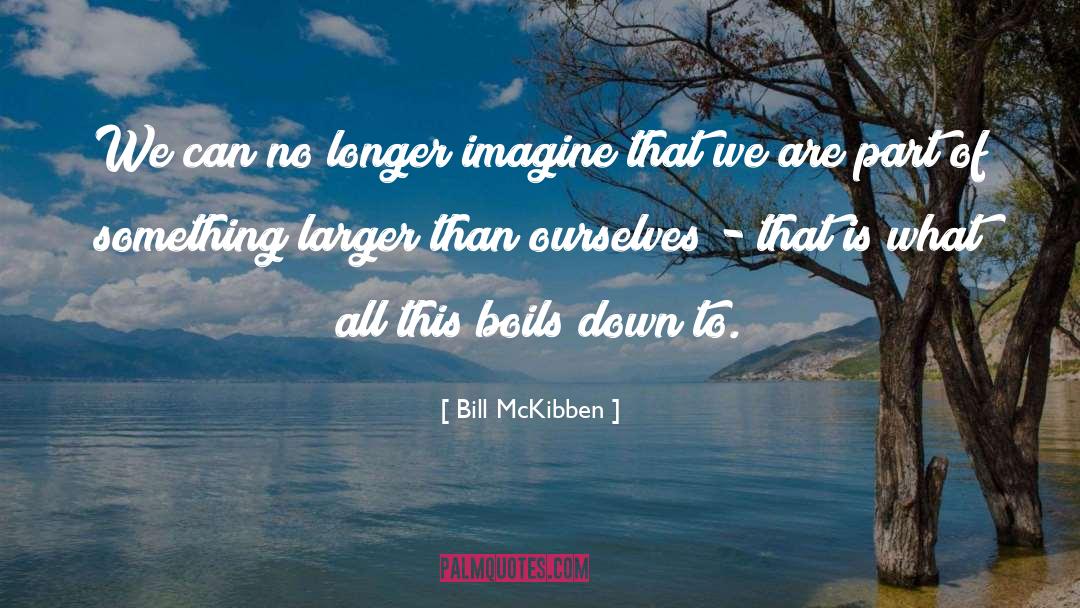 Down Syndrom quotes by Bill McKibben