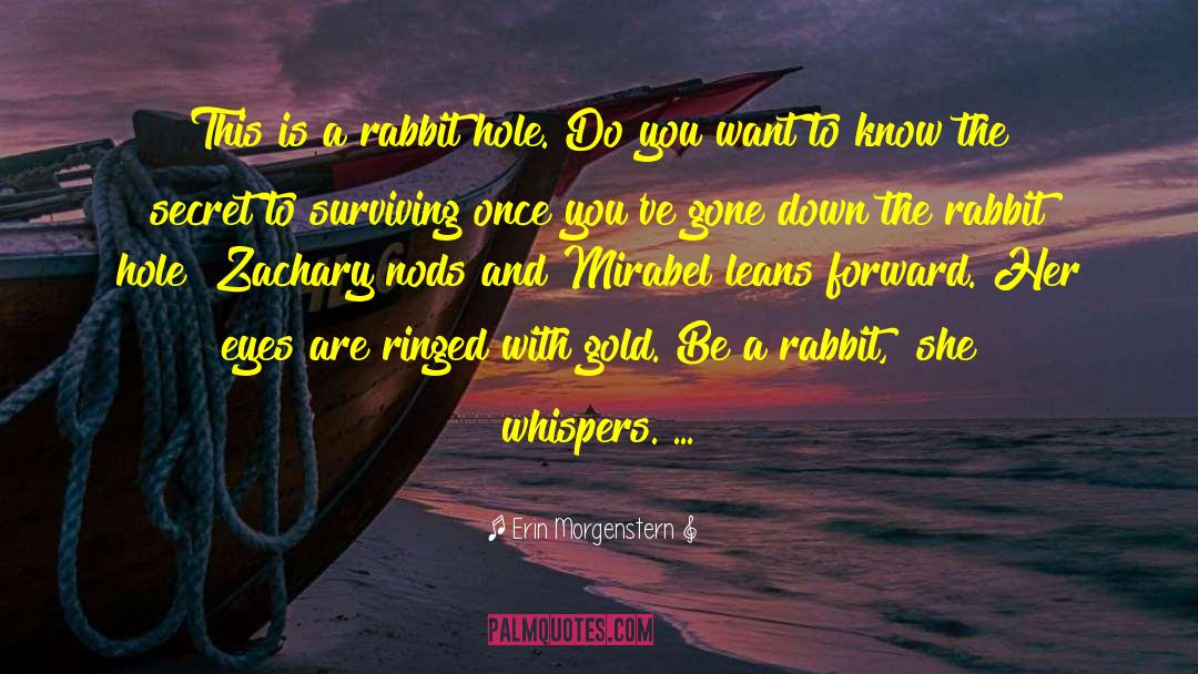 Down The Rabbit Hole quotes by Erin Morgenstern