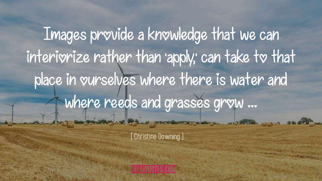 Downing quotes by Christine Downing