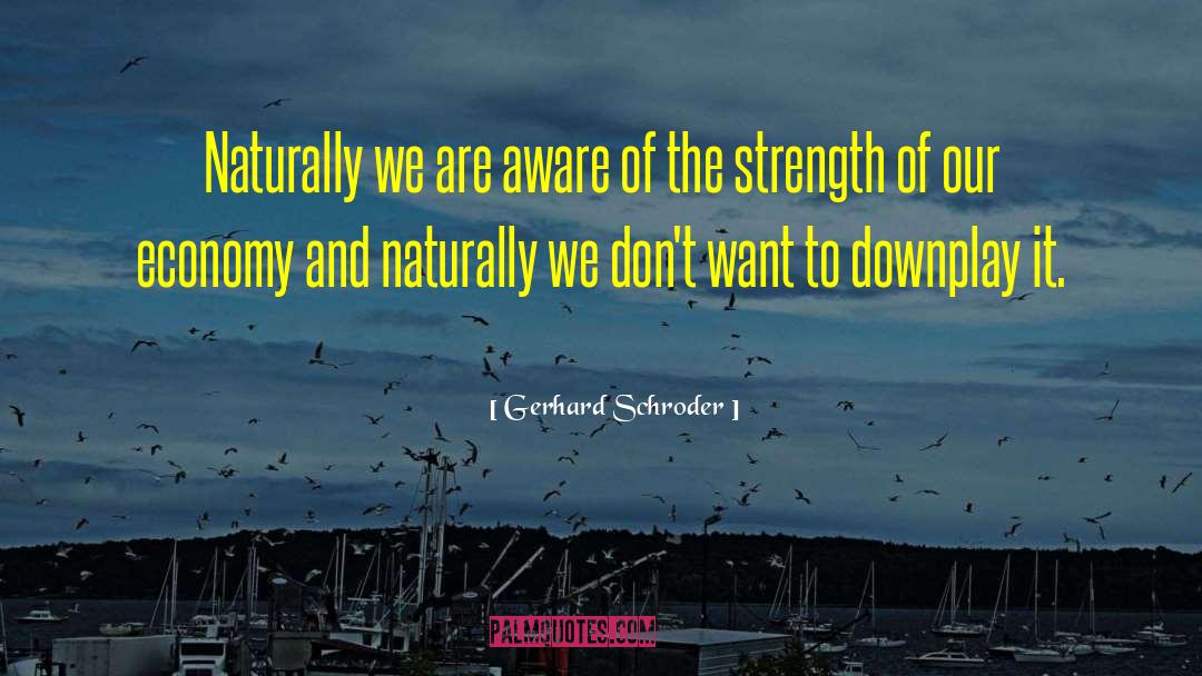 Downplay quotes by Gerhard Schroder