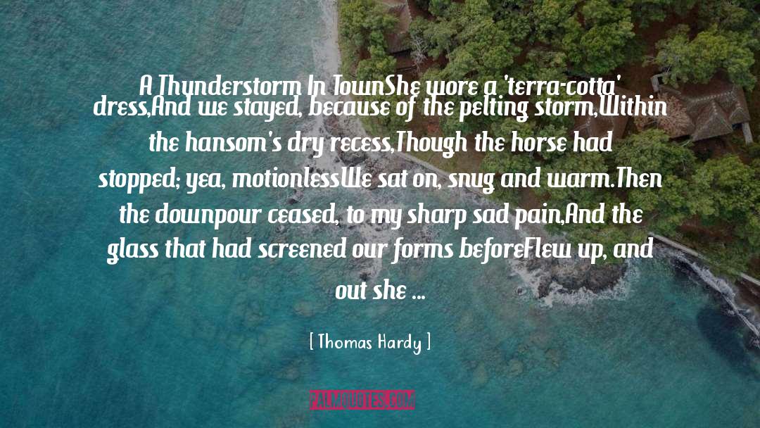Downpour quotes by Thomas Hardy