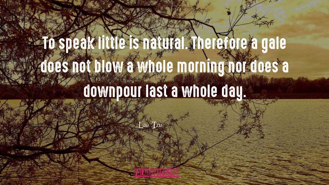 Downpour quotes by Lao-Tzu