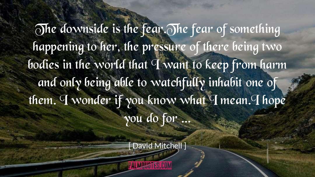 Downside quotes by David Mitchell