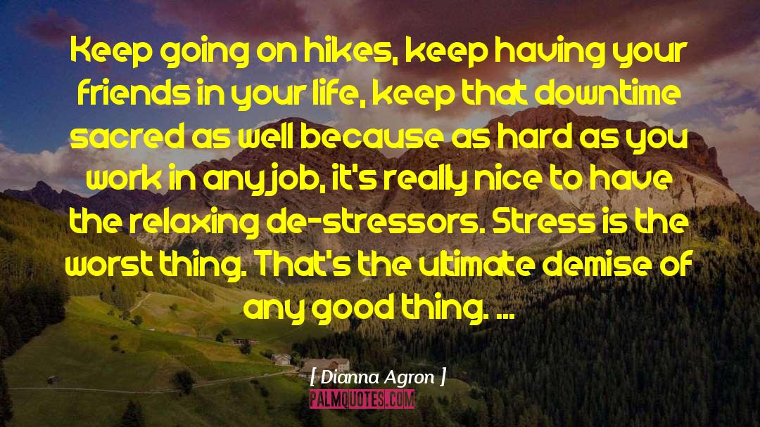 Downtime quotes by Dianna Agron