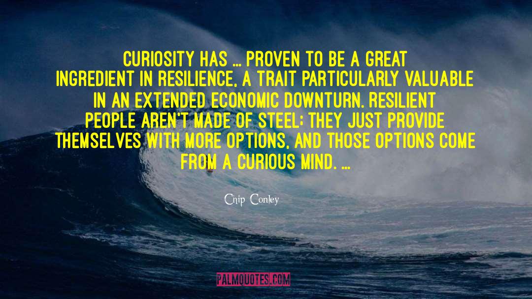 Downturn quotes by Chip Conley