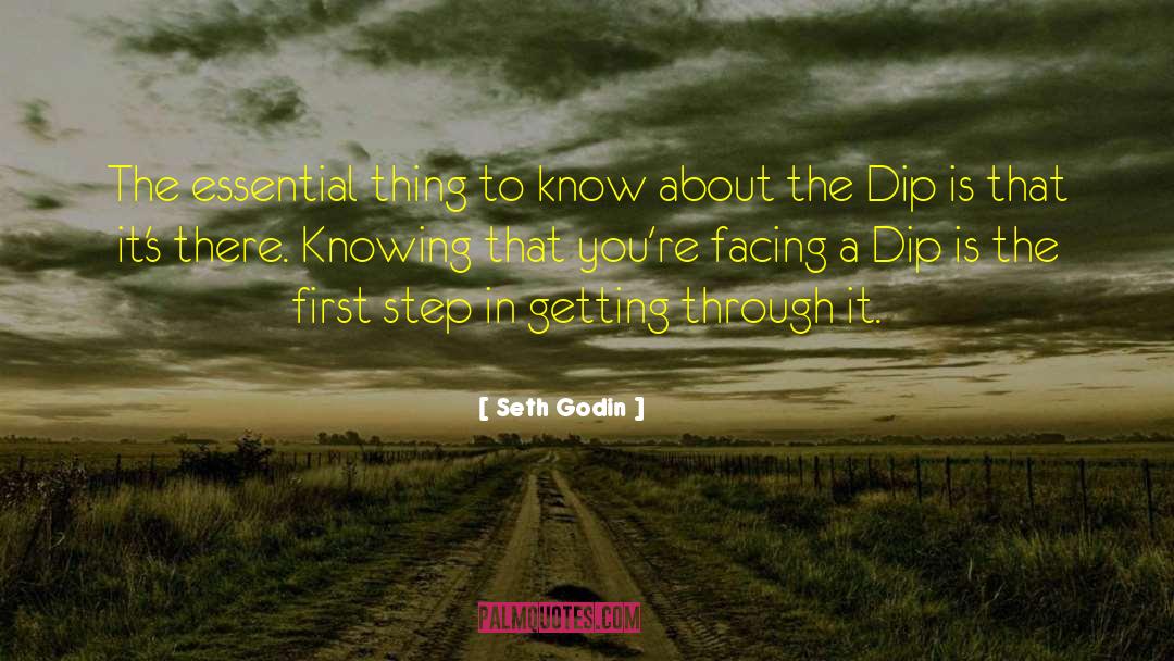 Downwards Facing quotes by Seth Godin