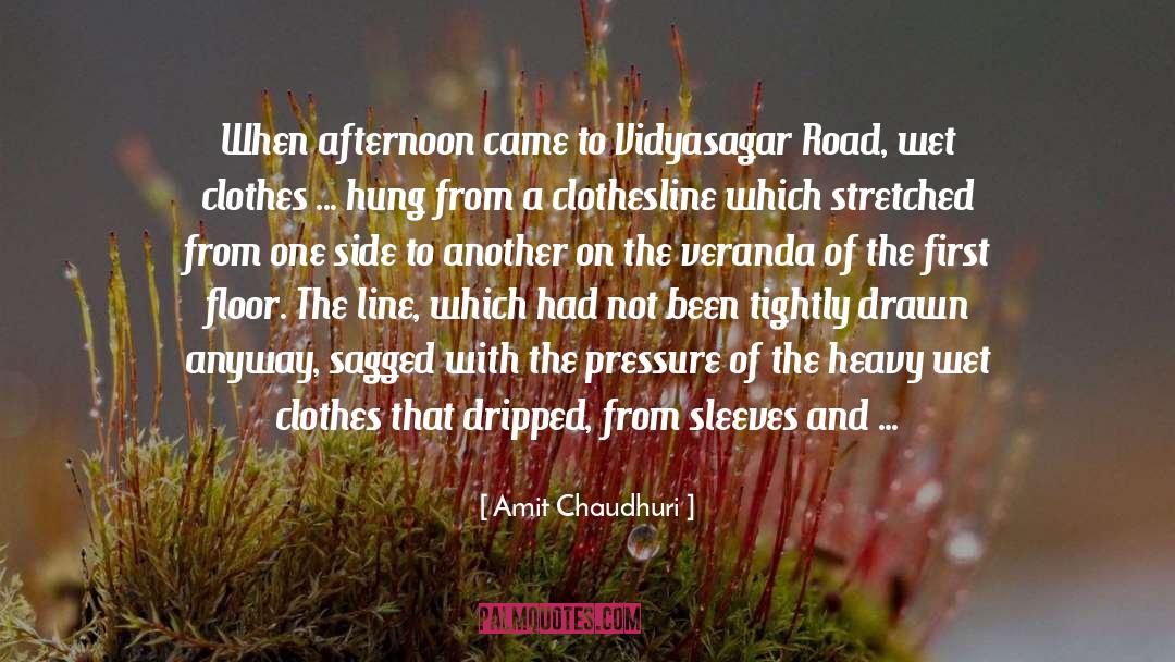 Downwards quotes by Amit Chaudhuri