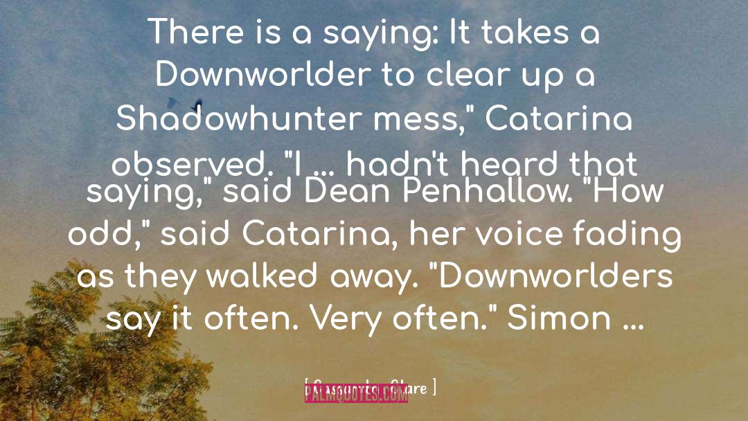 Downworlder quotes by Cassandra Clare