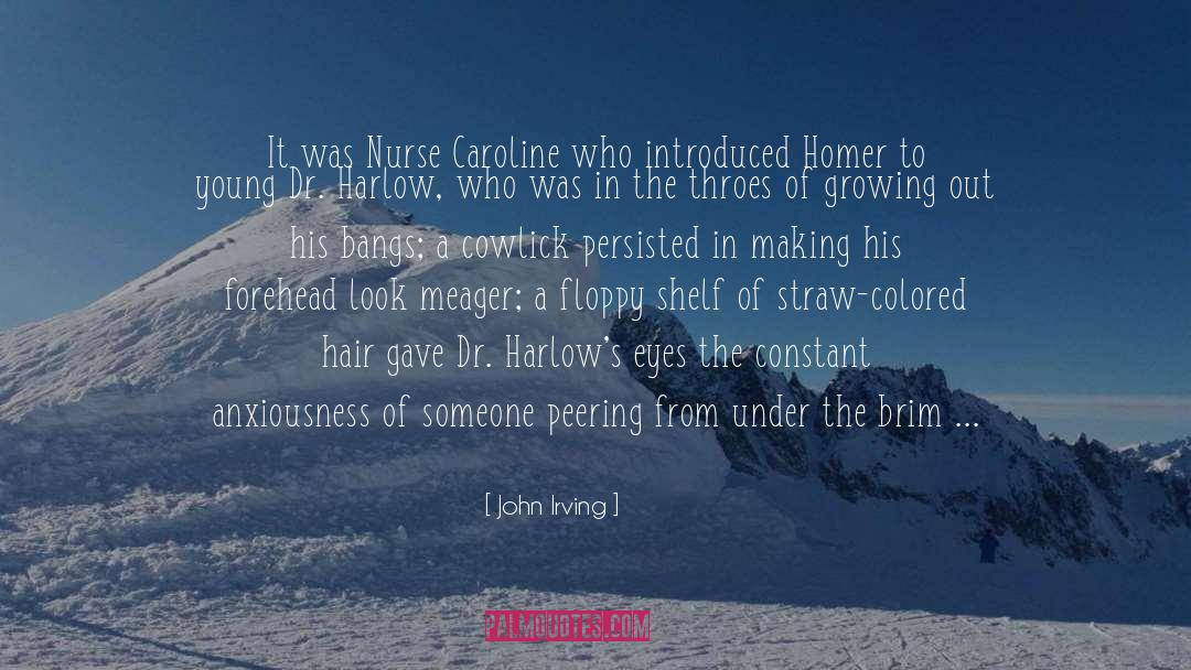Dr Livingstone quotes by John Irving