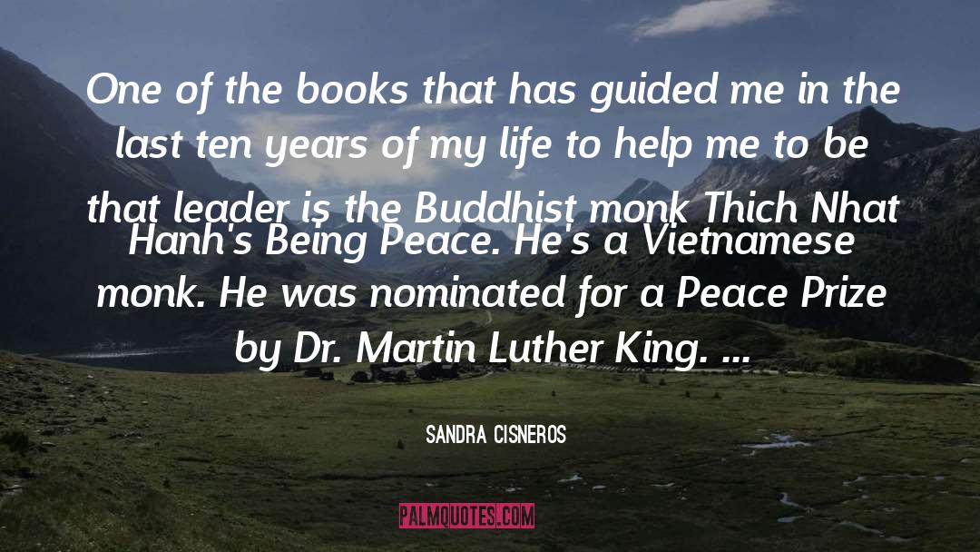 Dr Martin Luther King quotes by Sandra Cisneros